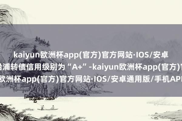 kaiyun欧洲杯app(官方)官方网站·IOS/安卓通用版/手机APP下载沿浦转债信用级别为“A+”-kaiyun欧洲杯app(官方)官方网站·IOS/安卓通用版/手机APP下载