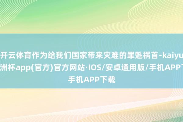 开云体育作为给我们国家带来灾难的罪魁祸首-kaiyun欧洲杯app(官方)官方网站·IOS/安卓通用版/手机APP下载