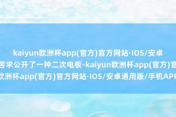 kaiyun欧洲杯app(官方)官方网站·IOS/安卓通用版/手机APP下载本苦求公开了一种二次电板-kaiyun欧洲杯app(官方)官方网站·IOS/安卓通用版/手机APP下载