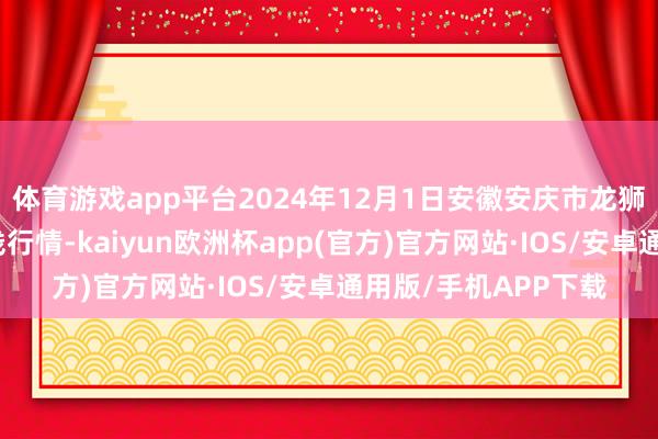 体育游戏app平台2024年12月1日安徽安庆市龙狮桥蔬菜批发商场价钱行情-kaiyun欧洲杯app(官方)官方网站·IOS/安卓通用版/手机APP下载