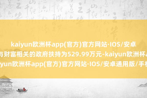 kaiyun欧洲杯app(官方)官方网站·IOS/安卓通用版/手机APP下载与财富相关的政府扶持为529.99万元-kaiyun欧洲杯app(官方)官方网站·IOS/安卓通用版/手机APP下载