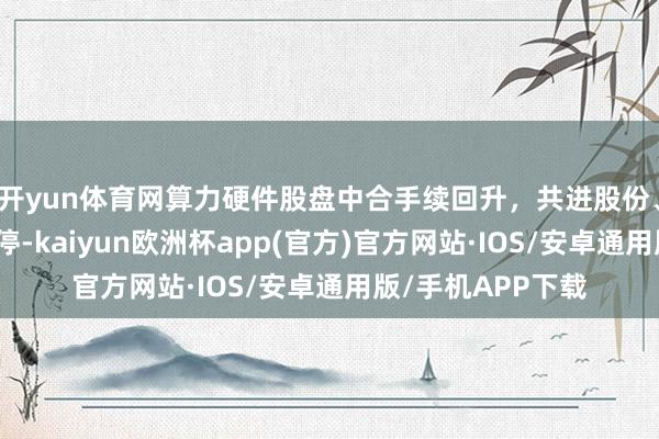 开yun体育网算力硬件股盘中合手续回升，共进股份、铭普光磁直线涨停-kaiyun欧洲杯app(官方)官方网站·IOS/安卓通用版/手机APP下载