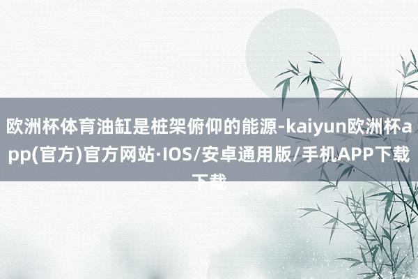 欧洲杯体育油缸是桩架俯仰的能源-kaiyun欧洲杯app(官方)官方网站·IOS/安卓通用版/手机APP下载