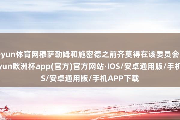 开yun体育网穆萨勒姆和施密德之前齐莫得在该委员会投过票-kaiyun欧洲杯app(官方)官方网站·IOS/安卓通用版/手机APP下载